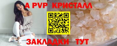 герыч Кингисепп