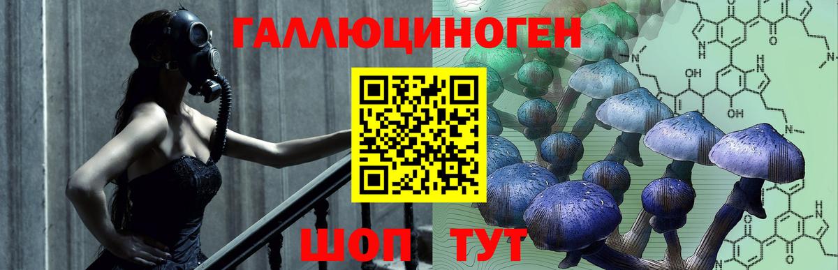 Галлюциногенные грибы Magic Shrooms Благовещенск